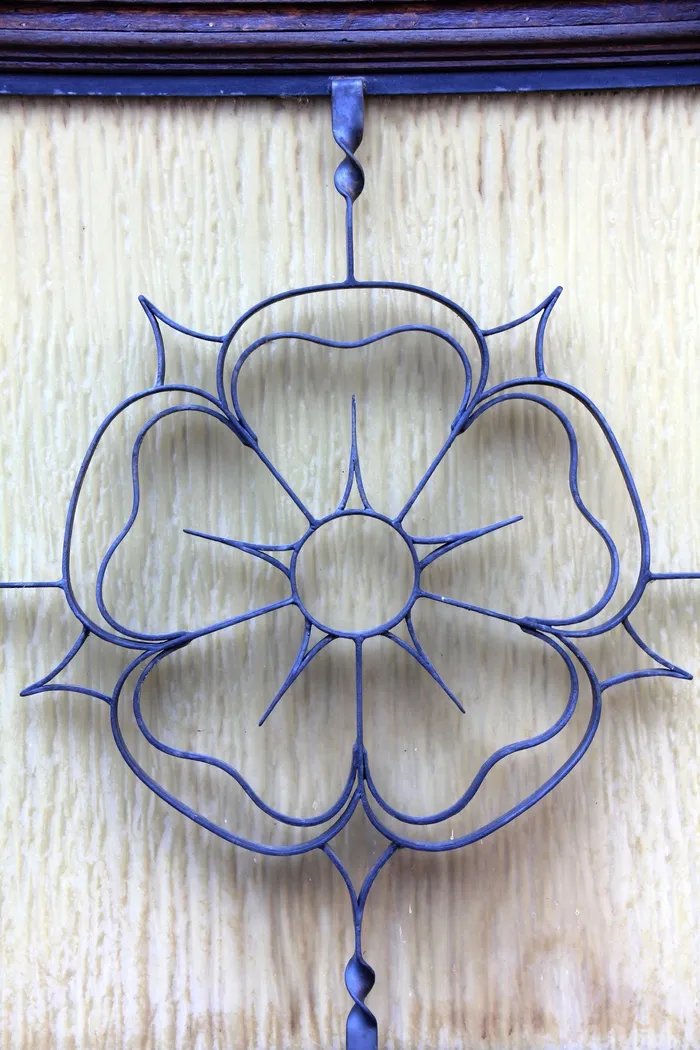 玫瑰，花，Lippe玫瑰，门，蓝色