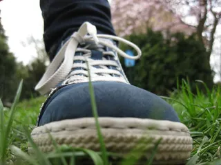 鞋，循环，脚，拉什