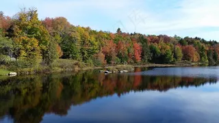 秋天，叶子，秋季，季节，秋天的树叶，季节性