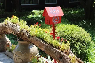 邮政，邮箱，红色邮箱，户外