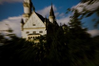 建筑,树,天空,风景,图画,新天鹅堡