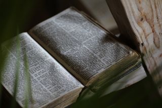 圣经，书，老，基督教，圣经