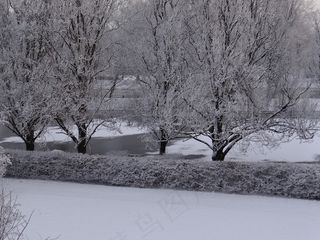 寒冬，雪，树木，冬季魔术，自然，水，河
