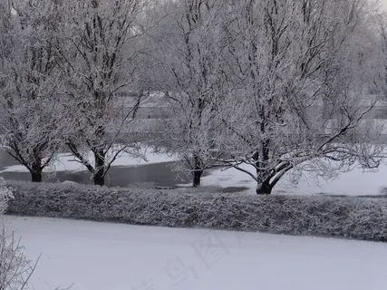 寒冬,雪,树木,冬季魔术,自然,水,河 寒冬,雪,树木,冬季魔术,自然,水,河