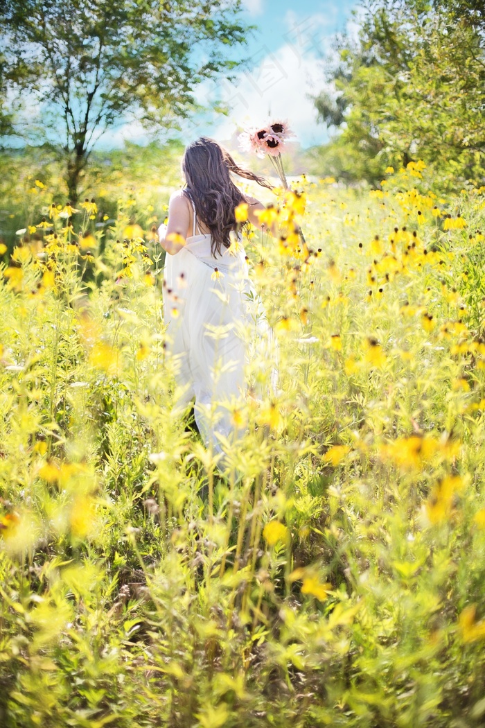 漂亮的女人，野花，夏天，自然，快乐