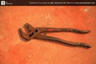 五金,虫子,屏幕截图,蛇,青铜刀,生锈的扳手