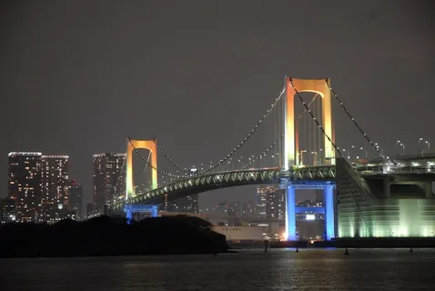 夜景,桥梁,点亮,夜,城市,大,光 夜景,桥梁,点亮,夜,城市,大,光