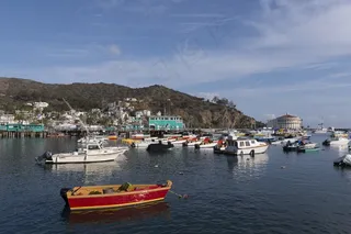 小船，系泊，港口，水，岛，船只，航海