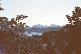 盆景,山峦,太阳能板,绿茶,电线/电缆,在黎明的冬天与山景观