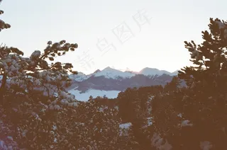盆景,山峦,太阳能板,绿茶,电线/电缆,在黎明的冬天与山景观