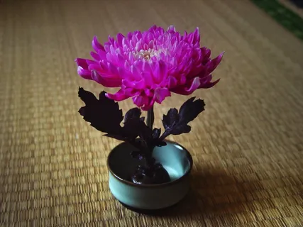 菊花，中国风，禅宗，插花