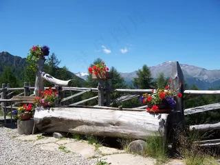 南蒂罗尔，山脉，Alm，高山，自然