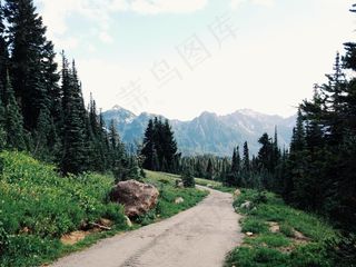 街道,树,山峦,风景,长城,山冒险自然森林