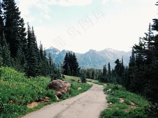 街道,树,山峦,风景,长城,山冒险自然森林