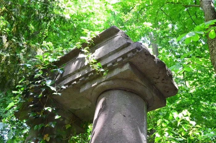 废墟，石头雕塑，杂草丛生，绿色