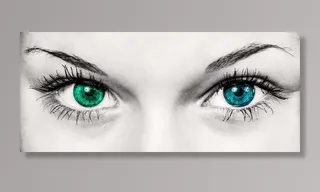 女人的脸部细节，一只眼睛蓝色，另一只绿色