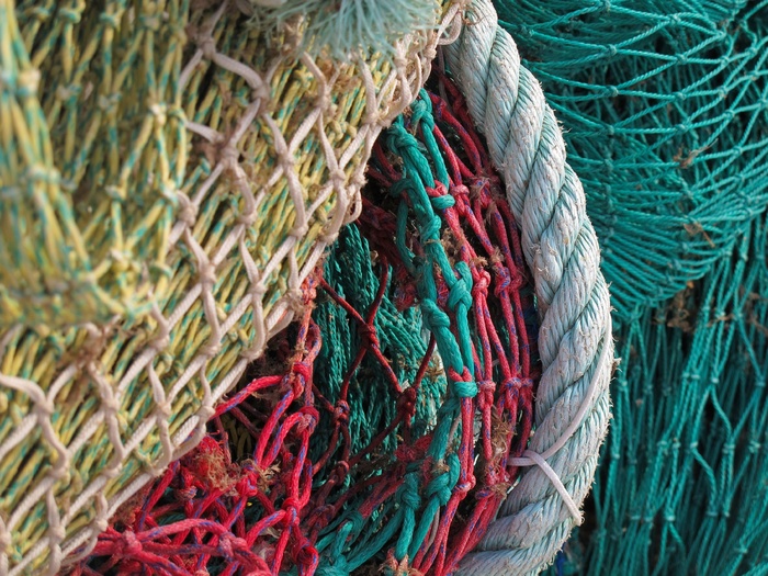渔网，网络，钓鱼