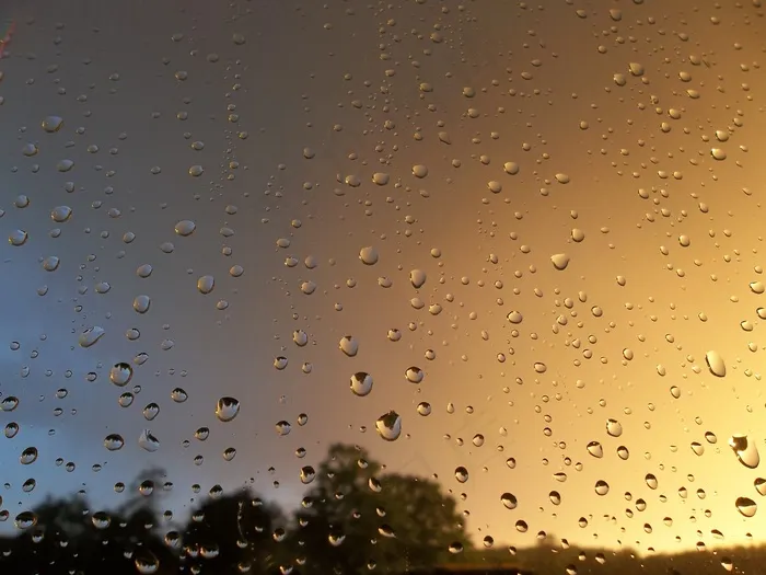 雨，雨后，滴，性质，森林，云