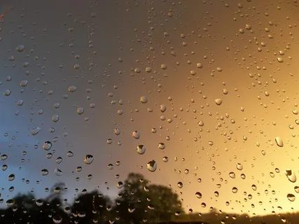 雨,雨后,滴,性质,森林,云 雨,雨后,滴,性质,森林,云