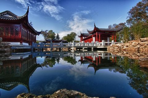 日本花园，池塘，放松，锦鲤，亚洲，鱼池