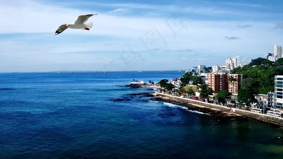 3月,海洋,海鸥,文学,景观,贝拉马尔 3月,海洋,海鸥,文学,景观,贝拉马尔
