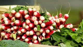 蔬菜，萝卜，维生素，花园