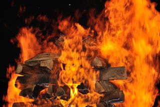 贵宾教练，参与者，消防，消防步行