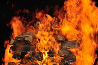 贵宾教练，参与者，消防，消防步行