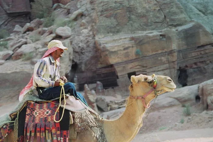 贝都因人，单峰驼，佩特拉，红色，多彩，锡克
