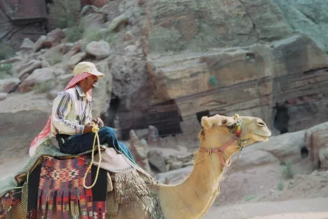 贝都因人，单峰驼，佩特拉，红色，多彩，锡克