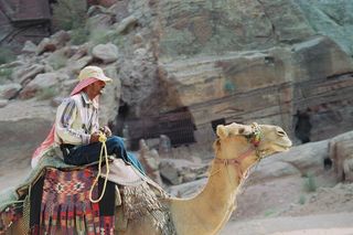 贝都因人，单峰驼，佩特拉，红色，多彩，锡克