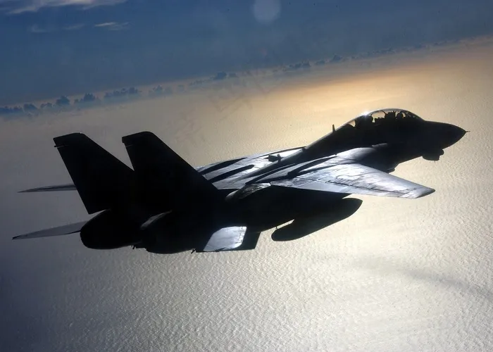 军用喷气机，飞行，飞行，F-14，雄猫，战斗机