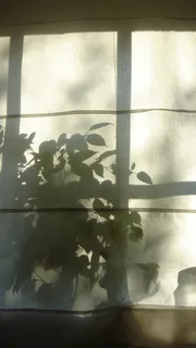 阴影,早晨,窗户 阴影,早晨,窗户