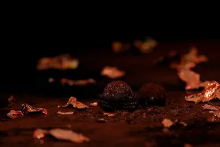 巧克力，巧克力，轻咬，甜，美食