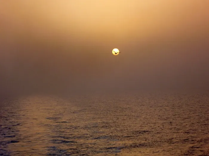 日落，海，希腊，假期，海鸥，假期，自然