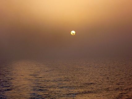 日落，海，希腊，假期，海鸥，假期，自然