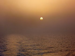 日落，海，希腊，假期，海鸥，假期，自然