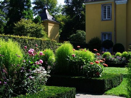 鲜花，橘园，城堡Benrath，城堡