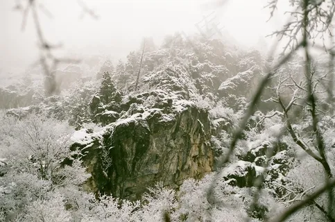 树,冰雪,山峦,雪松,雪树银花,积雪覆盖的岩石