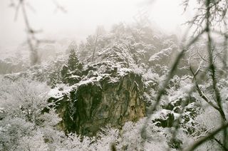 树,冰雪,山峦,雪松,雪树银花,积雪覆盖的岩石