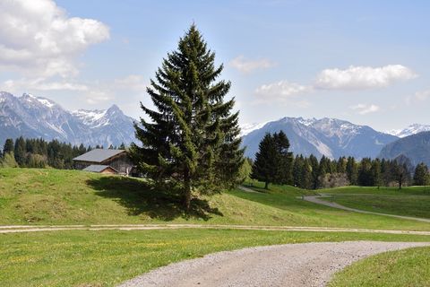 景观，阿尔卑斯山，方式，离，山，性质