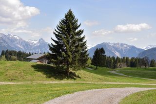 景观，阿尔卑斯山，方式，离，山，性质