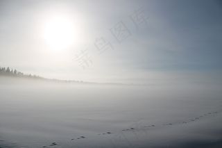 冬季，雪，田野，太阳，阳光，野兔的踪迹，踪迹