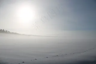 冬季，雪，田野，太阳，阳光，野兔的踪迹，踪迹