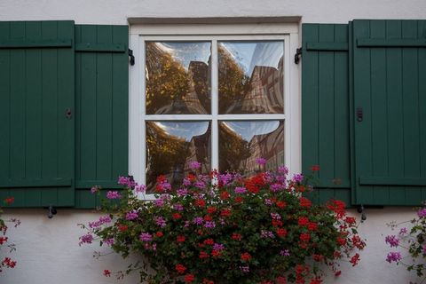 家用，旧，窗户，Gwölbtes玻璃窗，镜像