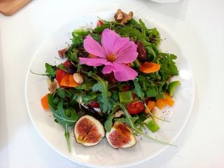 吃，沙拉，蔬菜，素食，健康，生物