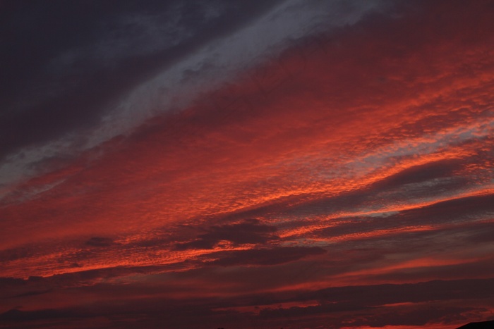 天空，日落，日出，红色κόκκινοΖωολογία，黄昏，黎明，早上，晚上