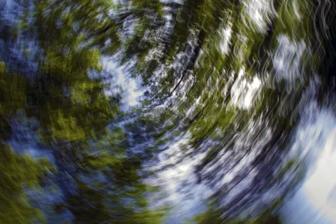 背景，果馅奶酪卷，抽象，摄影艺术，树木