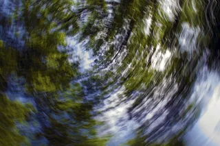 背景，果馅奶酪卷，抽象，摄影艺术，树木