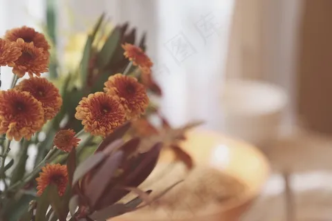 鲜花,橙色,开花,花的,秋天,绿色,盛开 鲜花,橙色,开花,花的,秋天,绿色,盛开